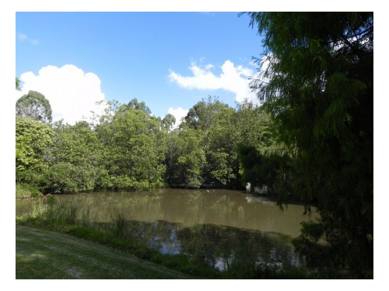 18 Freeman Court, Witta QLD 4552