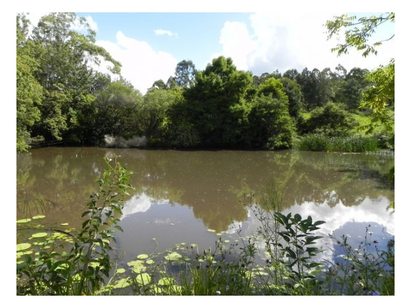 18 Freeman Court, Witta QLD 4552