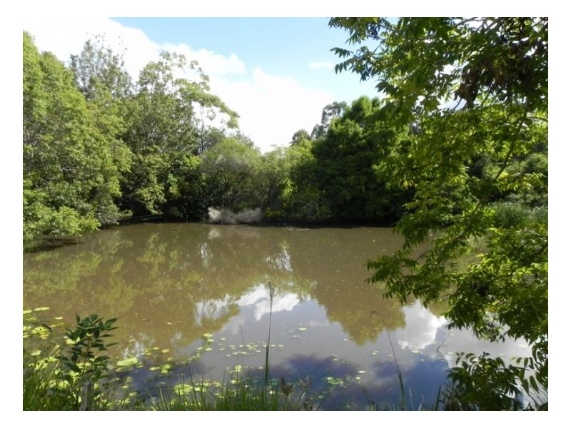 18 Freeman Court, Witta QLD 4552