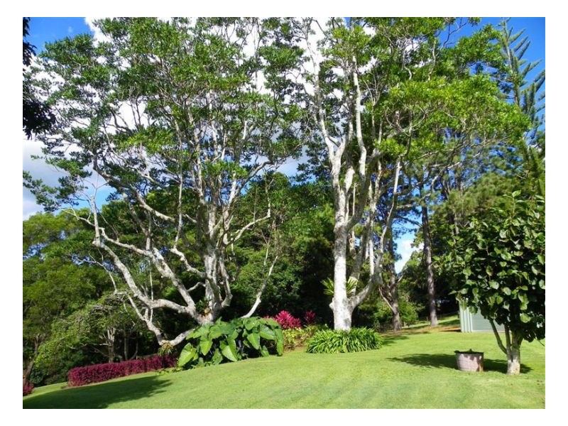 29 Obi Lane North, Maleny QLD 4552