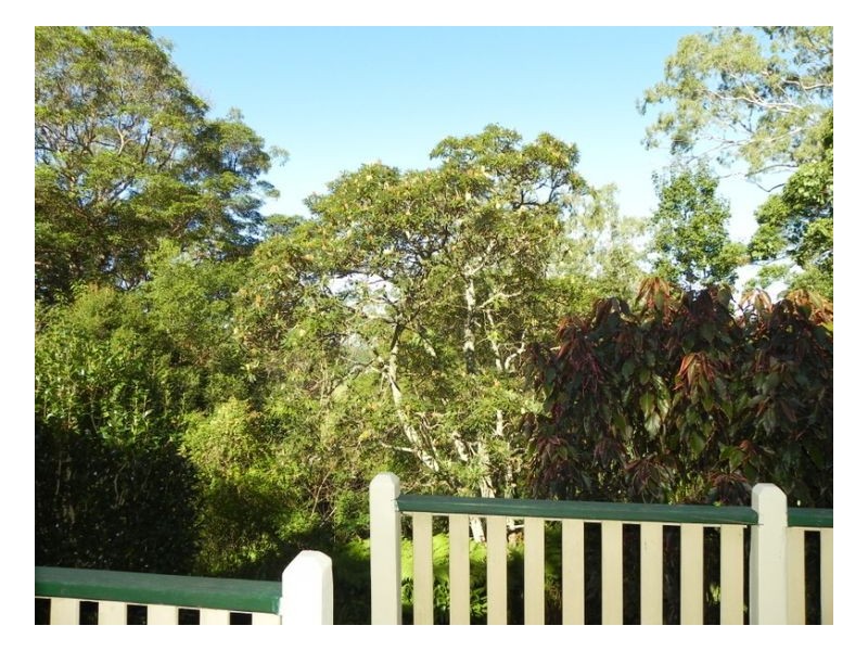 807 Bald Knob Road, Maleny QLD 4552