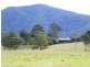 Conondale QLD 4552