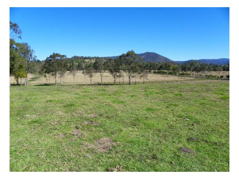 Conondale QLD 4552