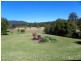 Conondale QLD 4552