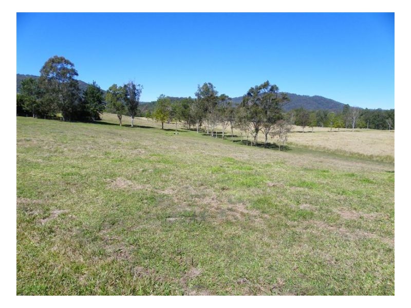 Conondale QLD 4552