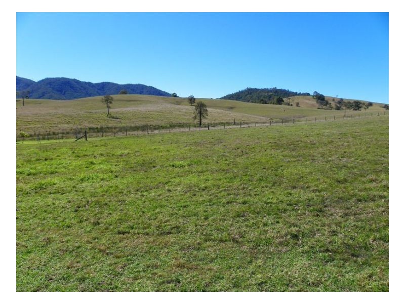 Conondale QLD 4552
