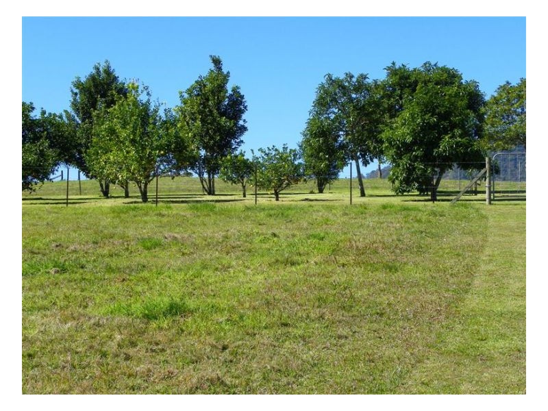 Conondale QLD 4552