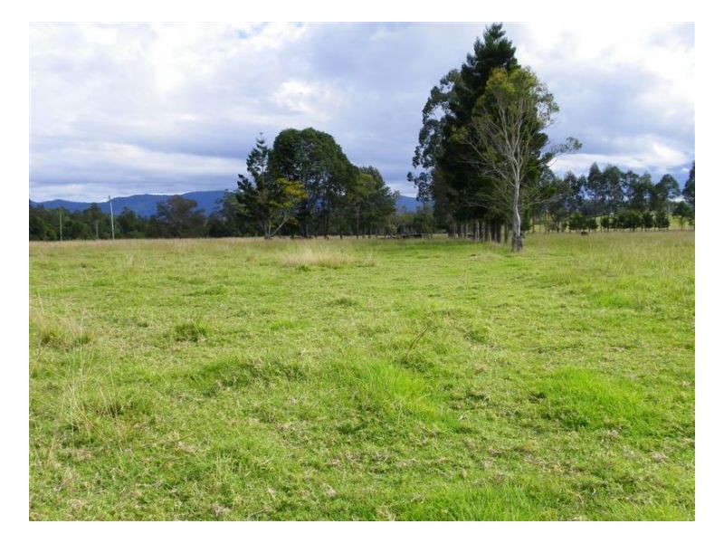 Conondale QLD 4552