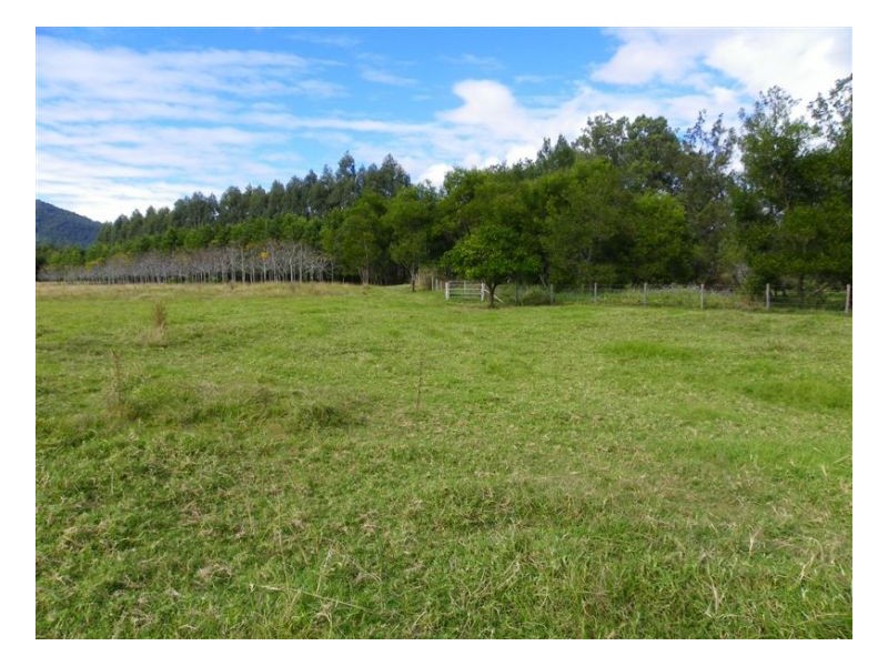 Conondale QLD 4552