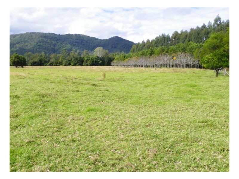 Conondale QLD 4552