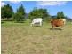 Conondale QLD 4552