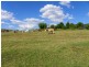 Conondale QLD 4552