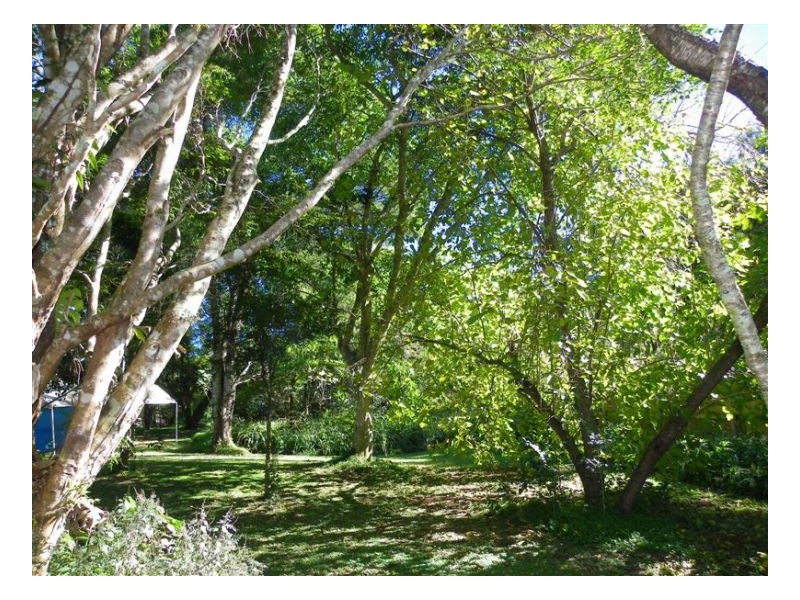 17 Obi Vale, Maleny QLD 4552