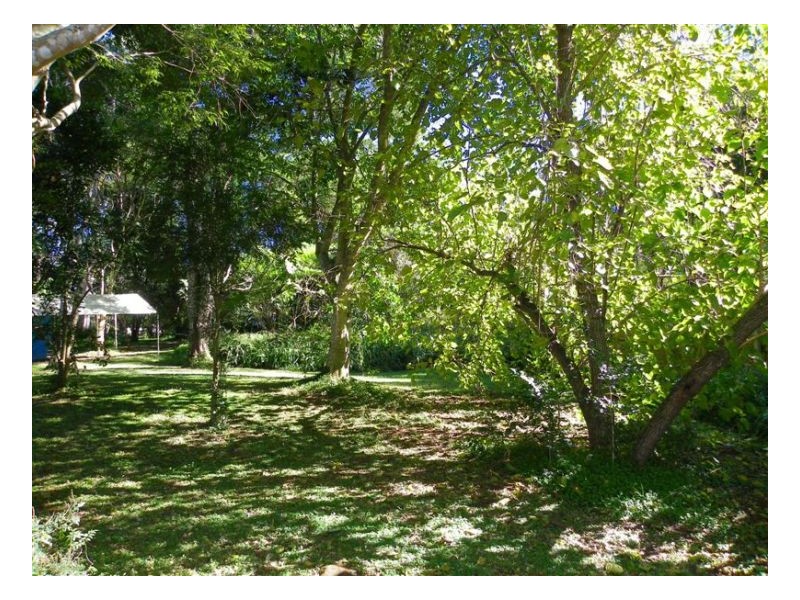 17 Obi Vale, Maleny QLD 4552