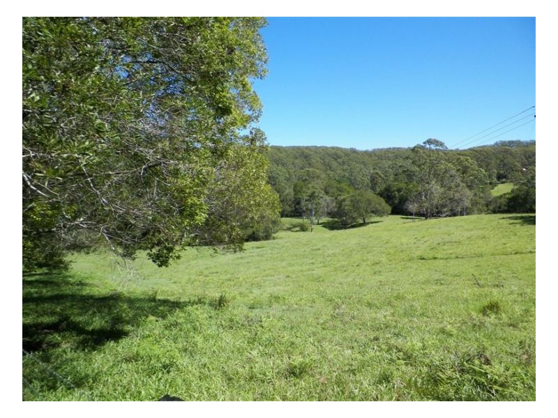 358 Candle Mountain Drive, Peachester QLD 4519