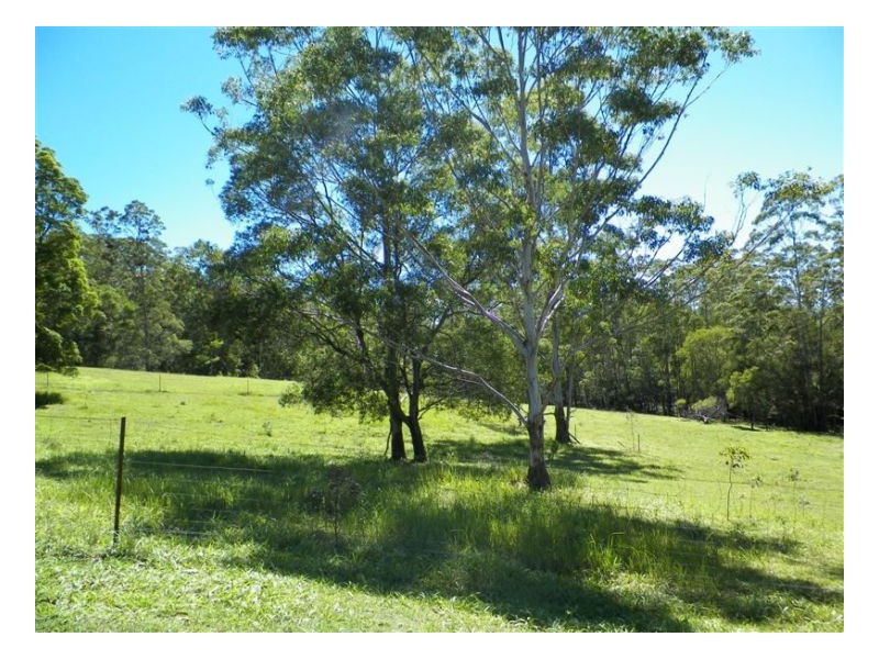 358 Candle Mountain Drive, Peachester QLD 4519