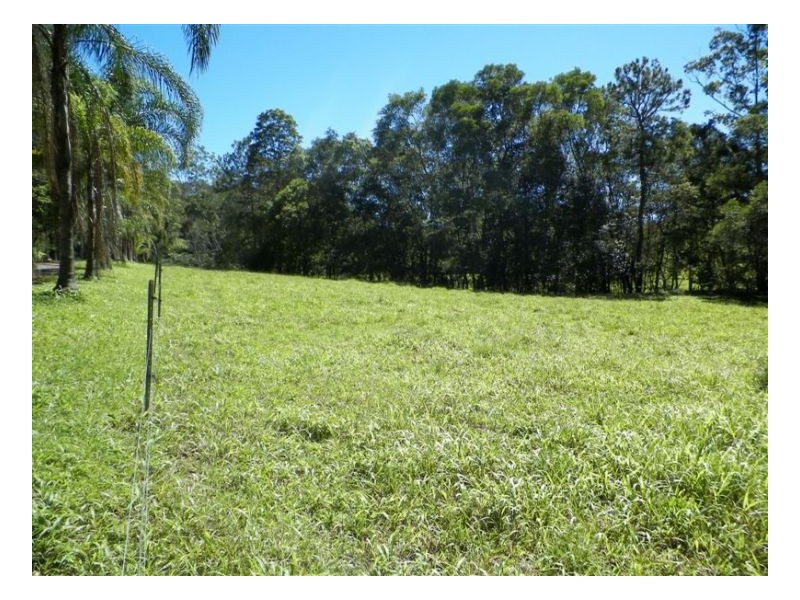 358 Candle Mountain Drive, Peachester QLD 4519