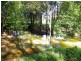 358 Candle Mountain Drive, Peachester QLD 4519