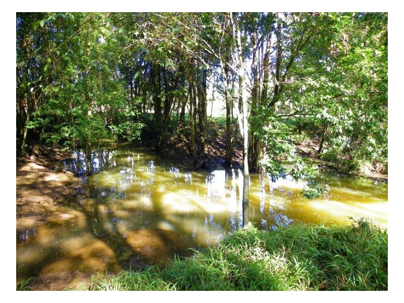 358 Candle Mountain Drive, Peachester QLD 4519