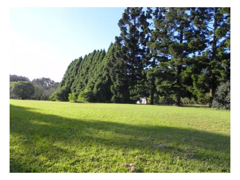 214 Mountain View Road, Maleny QLD 4552