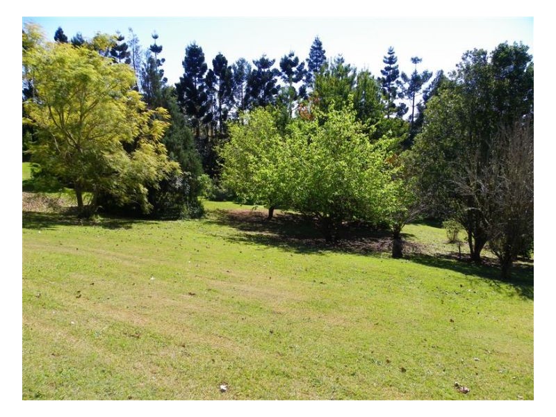 37 Burgum Road, Maleny QLD 4552