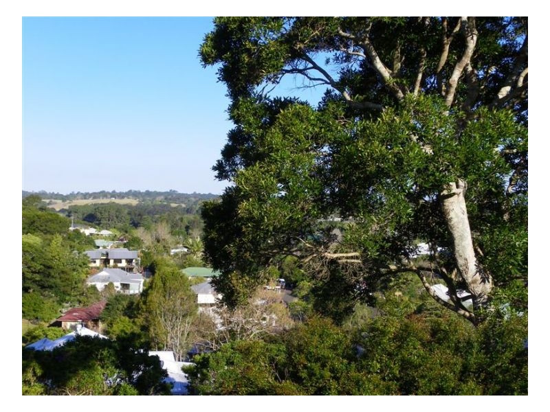 36 Tamarind Street, Maleny QLD 4552