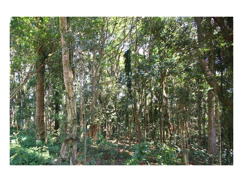 576 Mountain View Road, Maleny QLD 4552