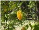 105 River Road, Peachester QLD 4519
