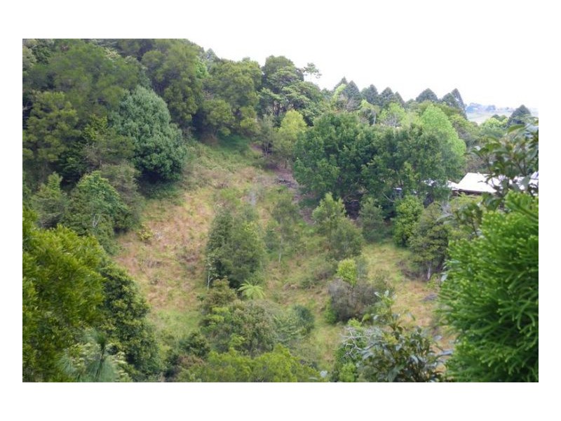188 Reesville Road, Maleny QLD 4552