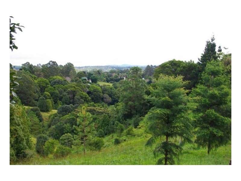 Maleny QLD 4552