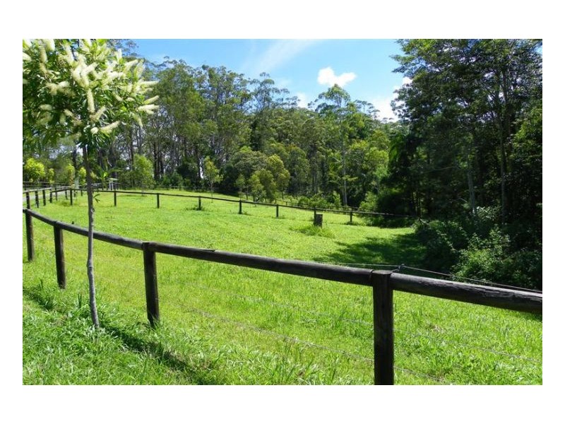 Maleny QLD 4552