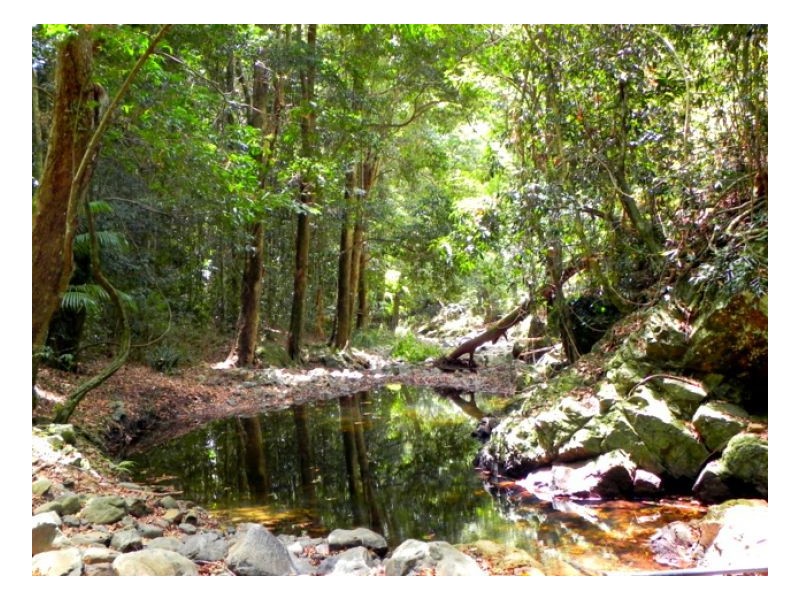 203 Bridge Creek Road, Maleny QLD 4552