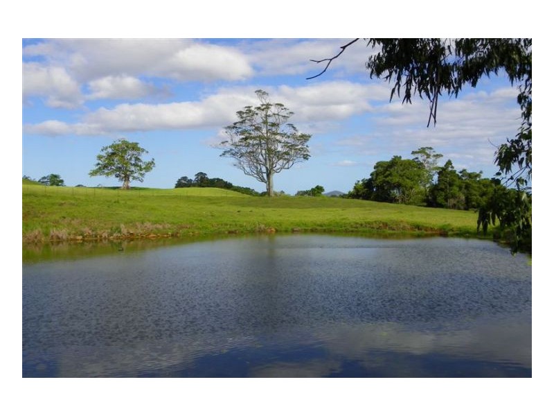29 McCarthy Shute Road, Maleny QLD 4552