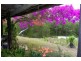 Conondale QLD 4552