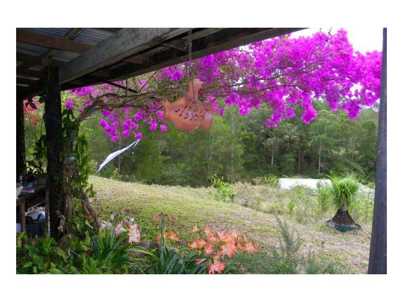 Conondale QLD 4552