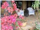 Conondale QLD 4552