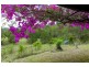 Conondale QLD 4552