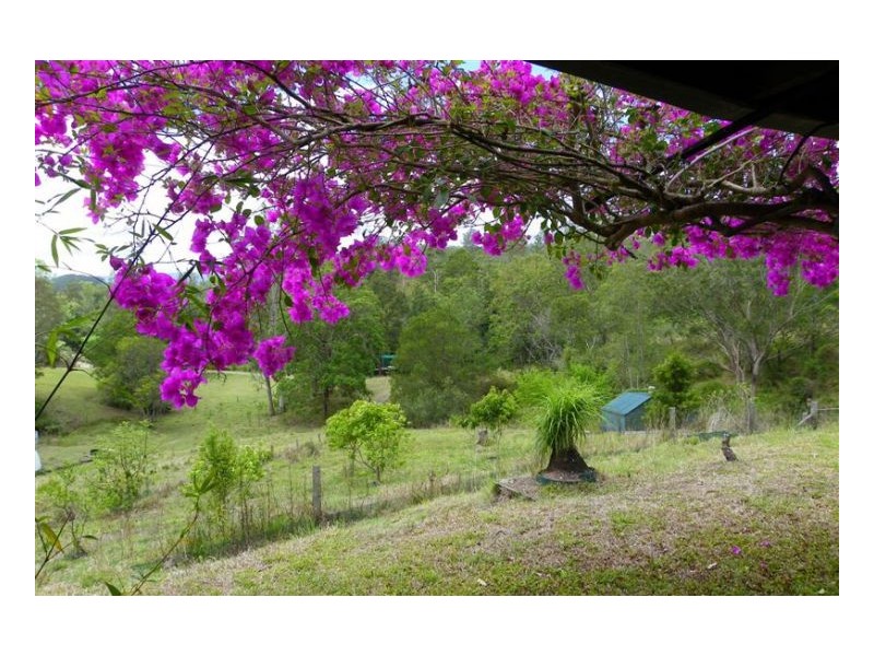 Conondale QLD 4552