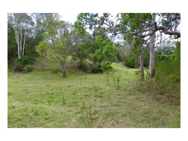 Conondale QLD 4552
