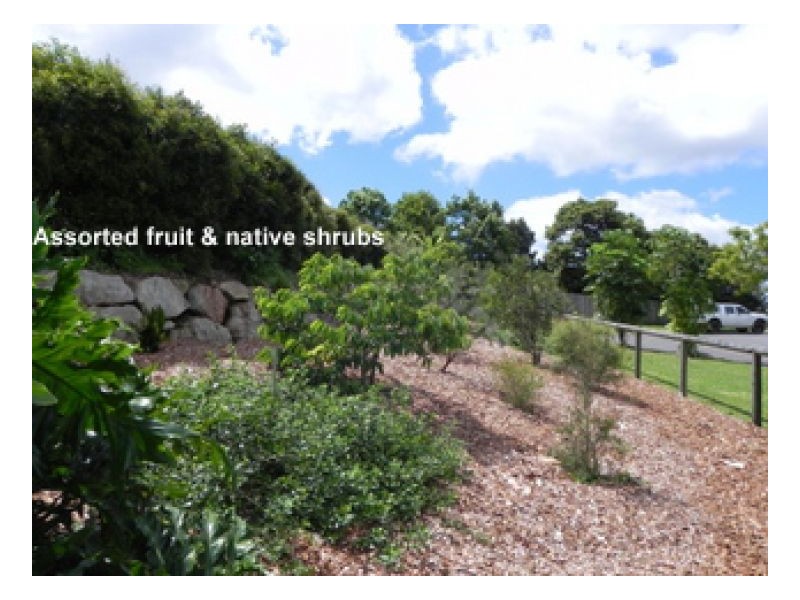 Maleny QLD 4552
