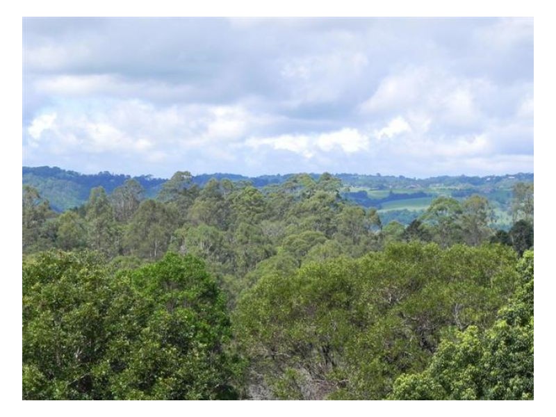 Witta QLD 4552