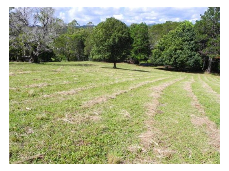 Witta QLD 4552