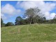 Witta QLD 4552
