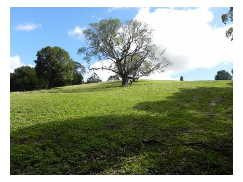 Witta QLD 4552