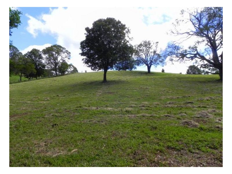 Witta QLD 4552