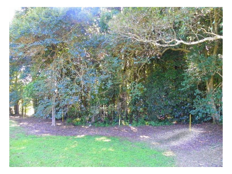 580 Mountain View Road, Maleny QLD 4552