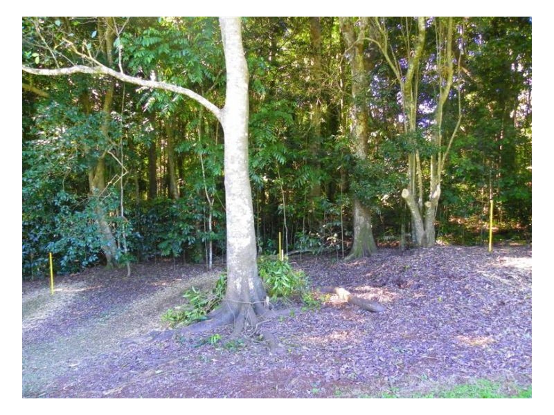 580 Mountain View Road, Maleny QLD 4552