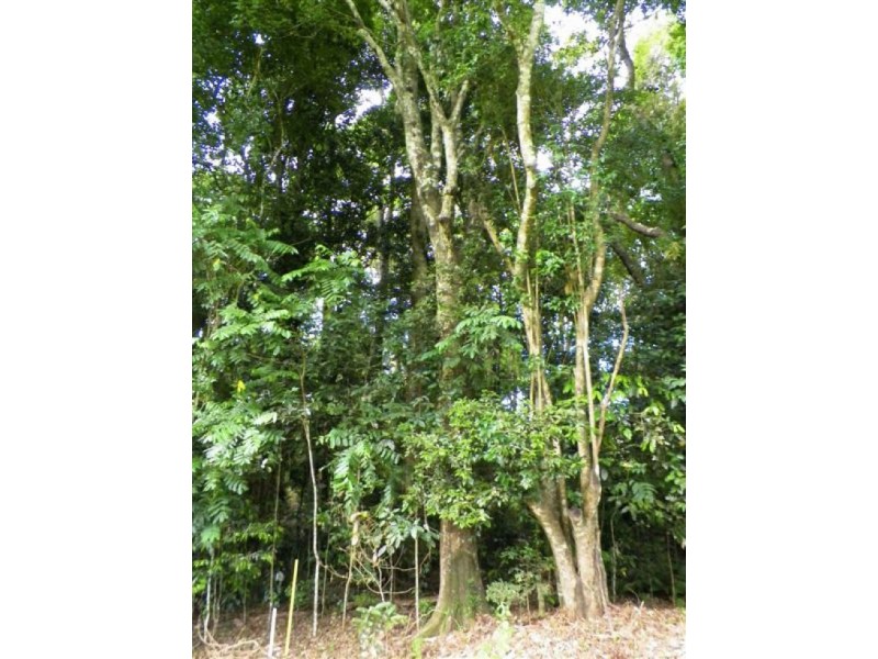 580 Mountain View Road, Maleny QLD 4552