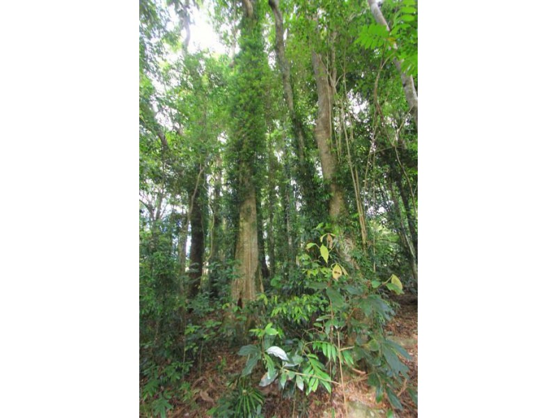 580 Mountain View Road, Maleny QLD 4552