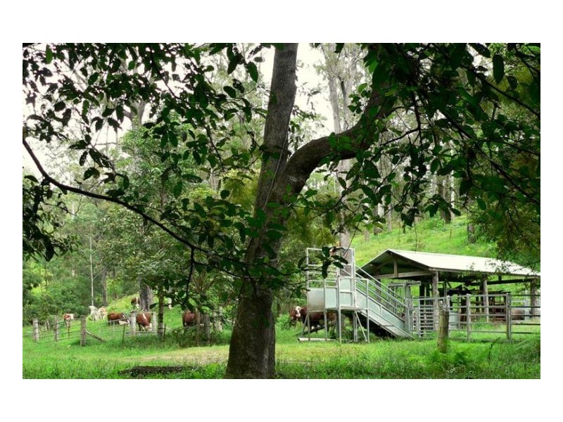 Conondale QLD 4552